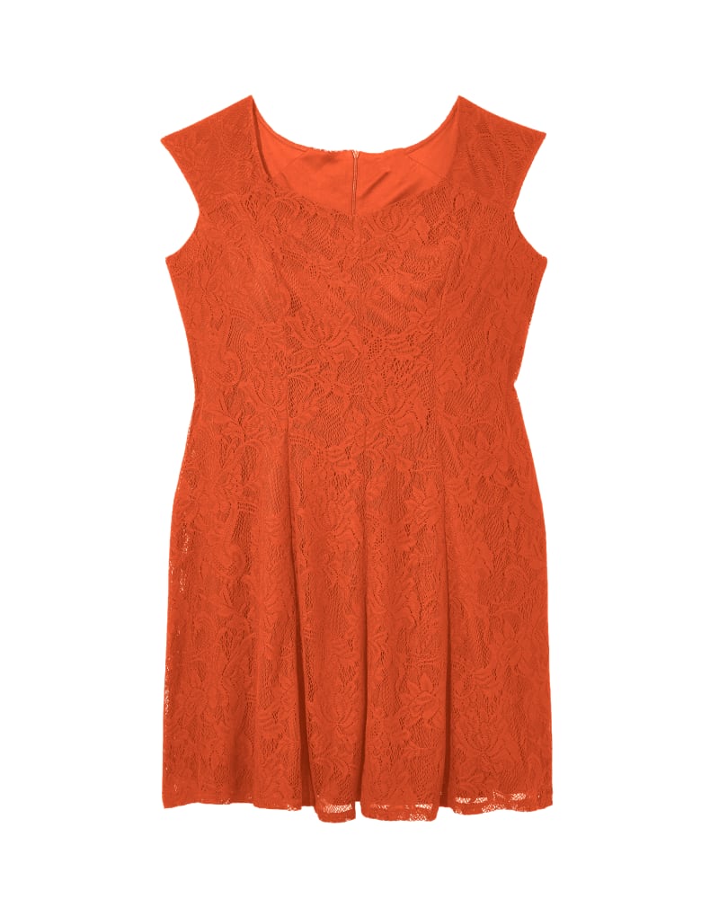 Front of plus size Galilee Lace Fit & Flare Dress by Sabrina Collective | Dia&Co | dia_product_style_image_id:118740